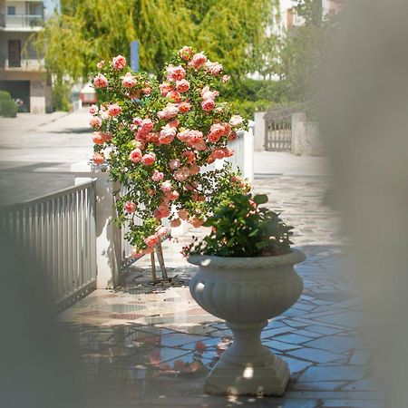 Apartments Nena Ποντστράνα Εξωτερικό φωτογραφία