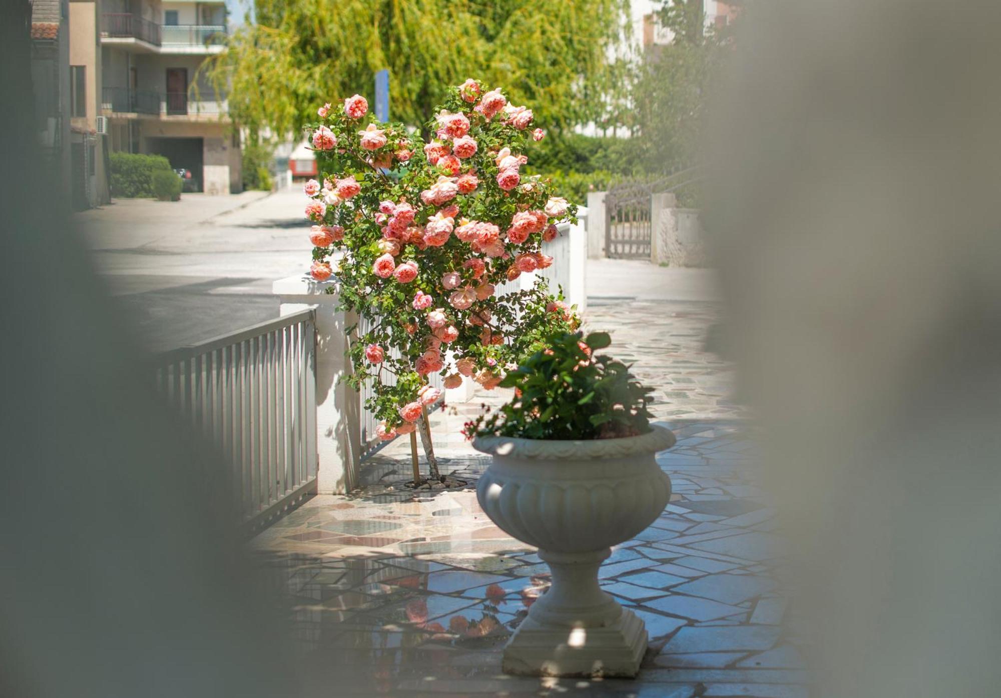 Apartments Nena Ποντστράνα Εξωτερικό φωτογραφία